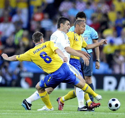 2008年欧洲杯瑞典：坚韧之旅，未竟之梦